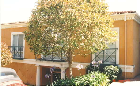 Foto principal - 305 North St