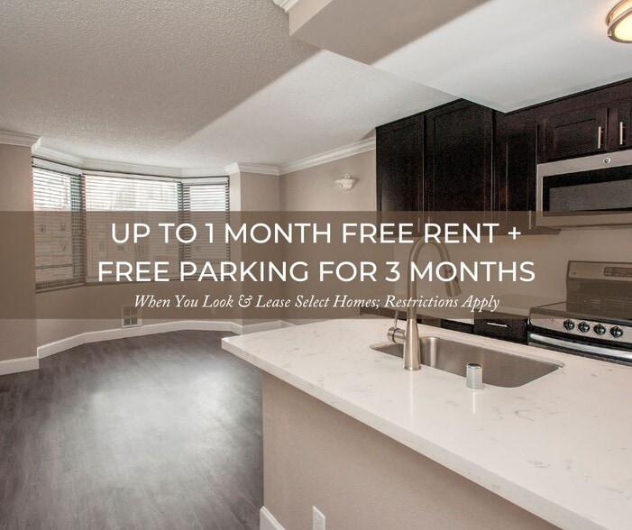 Tower 737 Condominium Rentals