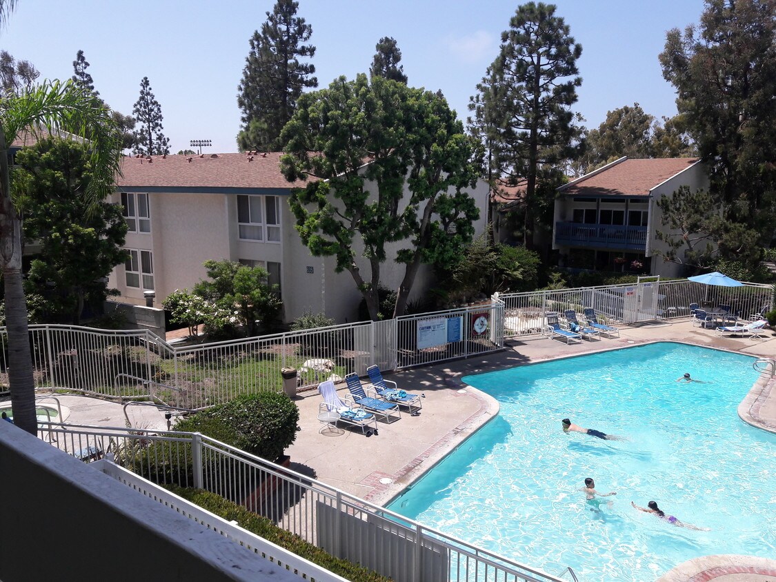 Pet Friendly Apartments In Redondo Beach Ca Pet Friendly Apartments In Redondo Beach Ca