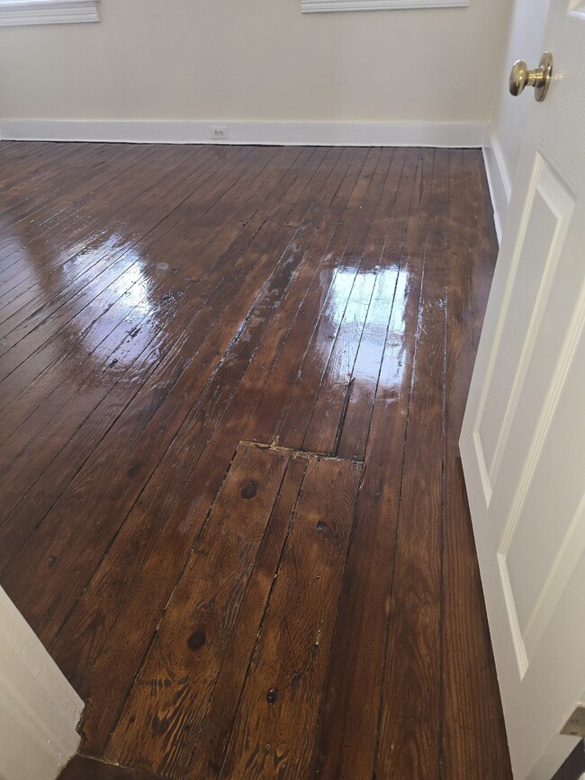 Primary Bedroom - 707 Bunnecke Ave