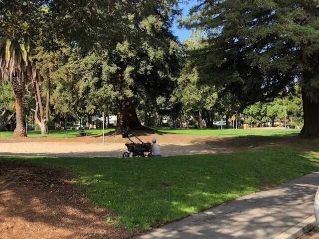 Calle - 460 Everett Ave