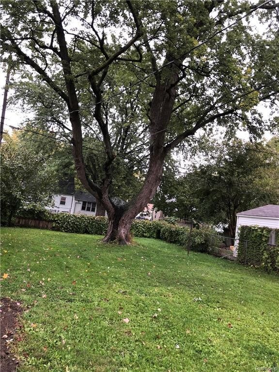 Foto del edificio - 7971 Jackson St