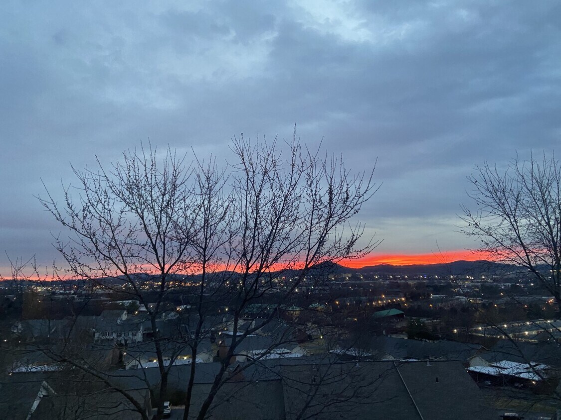 morning view from bedroom - 1614 Brentwood Pointe