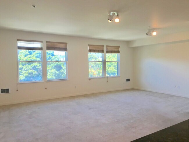 Building Photo - Grand 2 Bedroom Modern Condo in Prime NOPA...