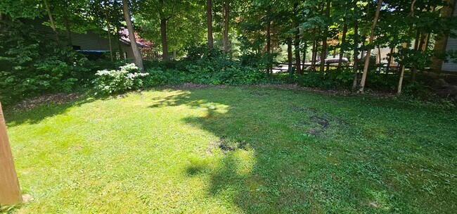 Building Photo - 515-517 Straub Rd