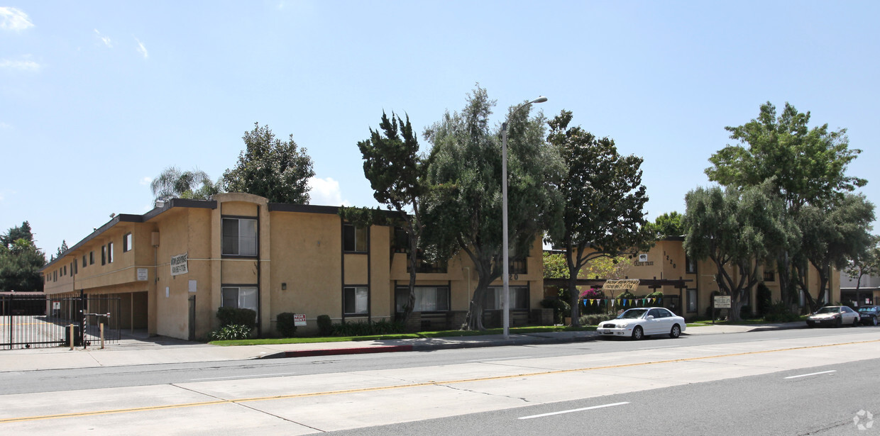 Foto del edificio - Olive Tree Apartments