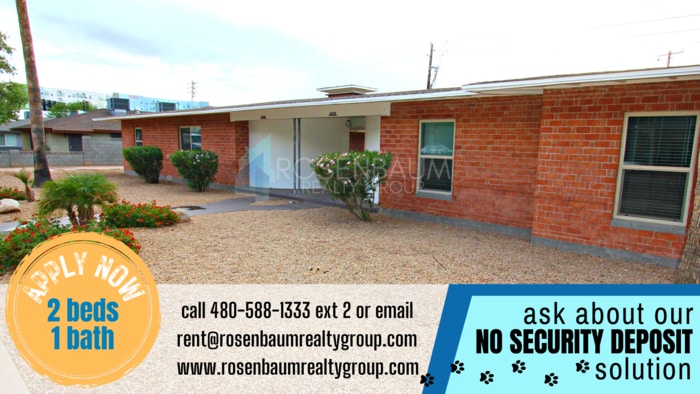 Primary Photo - Beautiful 2 bedroom 1 bath apartment home ...