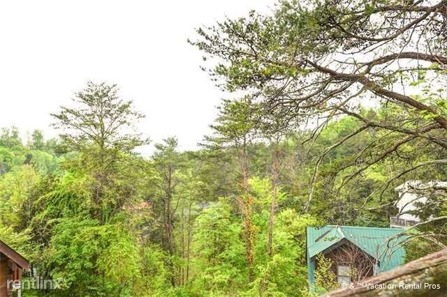 Building Photo - 2604 Tree Top Way