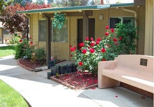 Building Photo - 251 Kottinger Dr
