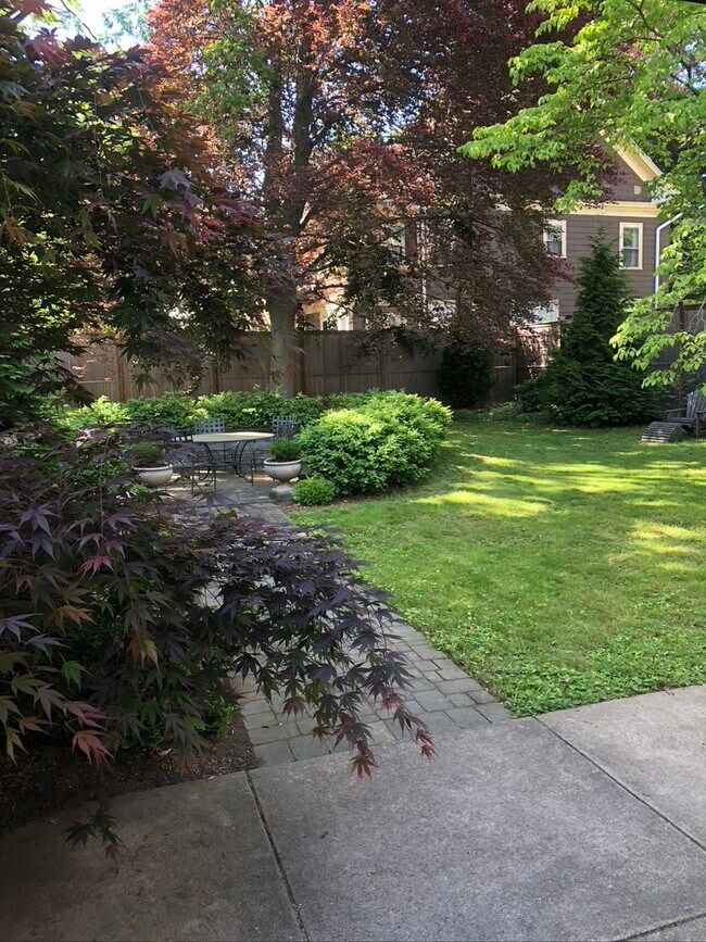 Jardín - 642 Orange St