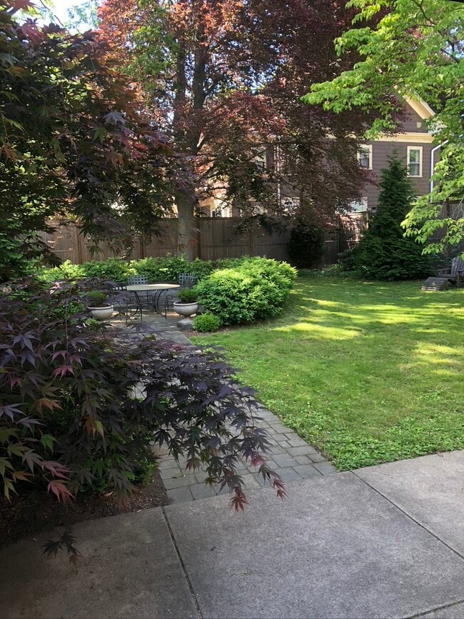 Garden - 642 Orange St