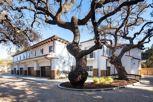 Foto del edificio - 3236 Royal Oaks Dr