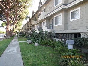 Terrace Trousdale Apartments photo'