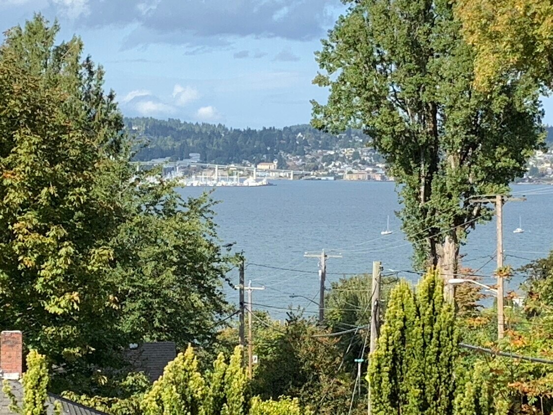 View from Living Room - 1431 Kitsap St