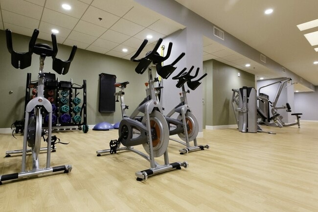 Fitness Center - Avenir