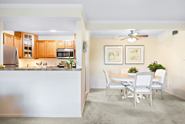 Building Photo - Courts Of Williamsburg