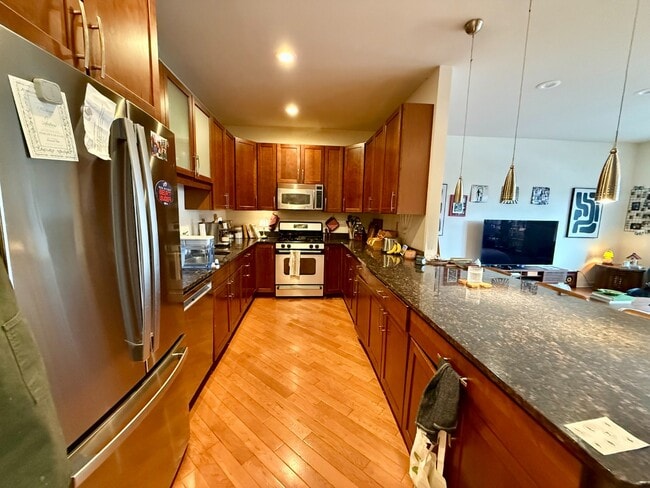 Stunning 2 Bed 2 Bath in the Wicker Park area - Stunning 2 Bed 2 Bath in the Wicker Park area Apartment
