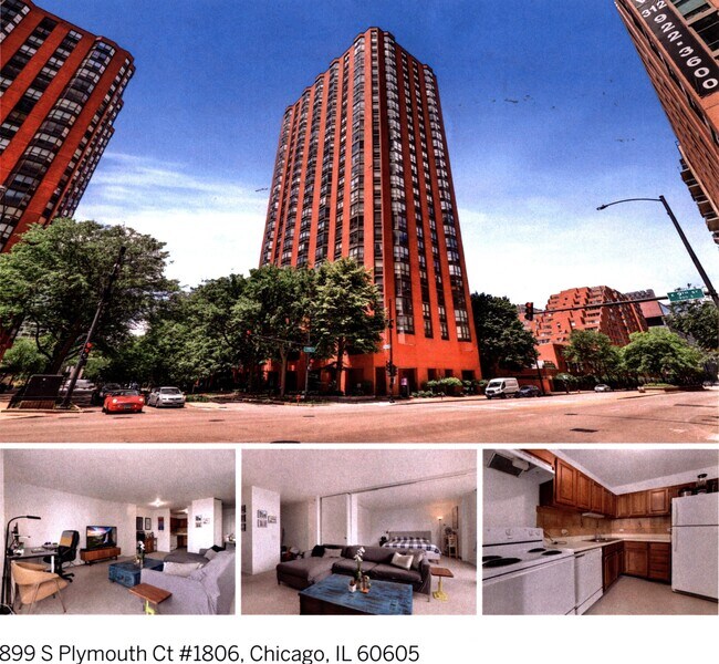 899 S Plymouth Ct Unit 1806, Chicago, IL 60605 Condo for Rent in