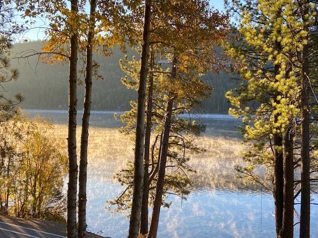 Primary Photo - 15048 Donner Pass Rd