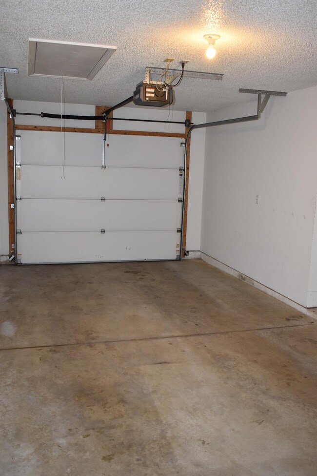 Foto del edificio - 2923 Bluff Ridge Dr