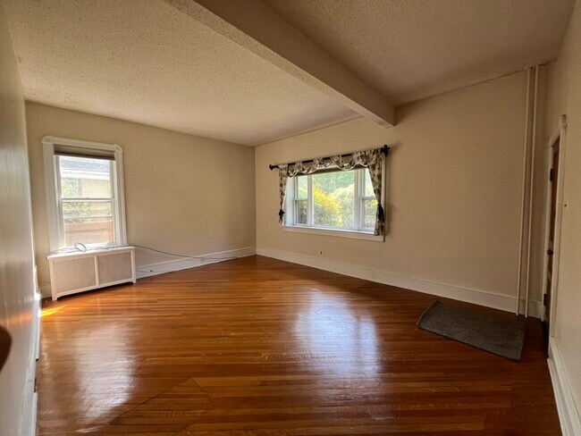 Living Room - 205 W Maple Ave