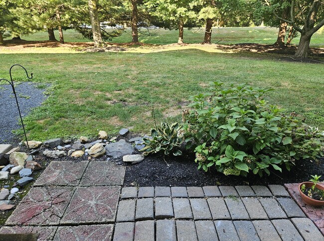 Patio - 53 Juniper Way