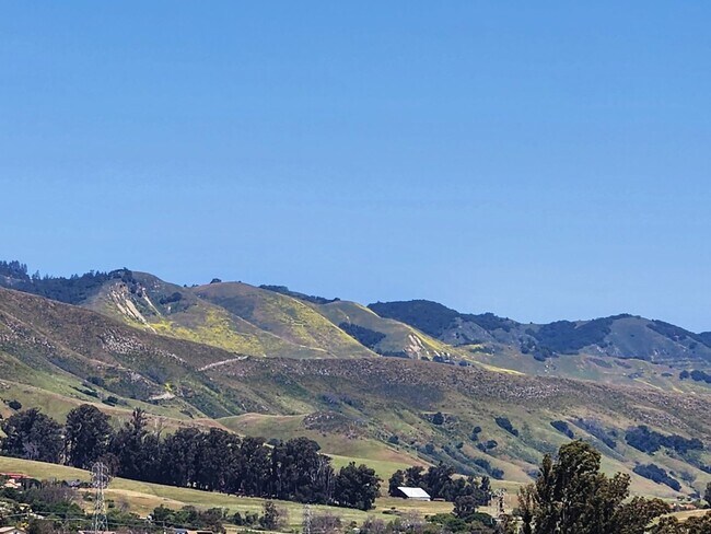 Foto del edificio - Beautiful Tuscan Style Home in SLO-Coming soon