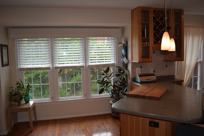 Building Photo - 10156 Village Knolls Ct