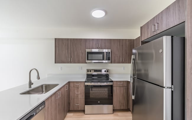 Interior Photo - Brand New Apartments for Rent | 1, 2 & 3 B...