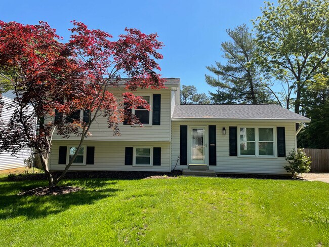 Building Photo - 1115 Neptune Pl