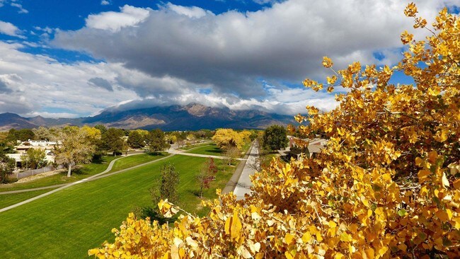 Spring Park Apartments en Albuquerque - Spring Park
