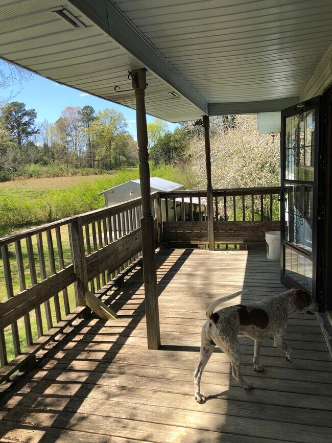 Foto del edificio - 4 BDR, 2 BA + Bonus Room + Garage + Huge Lot