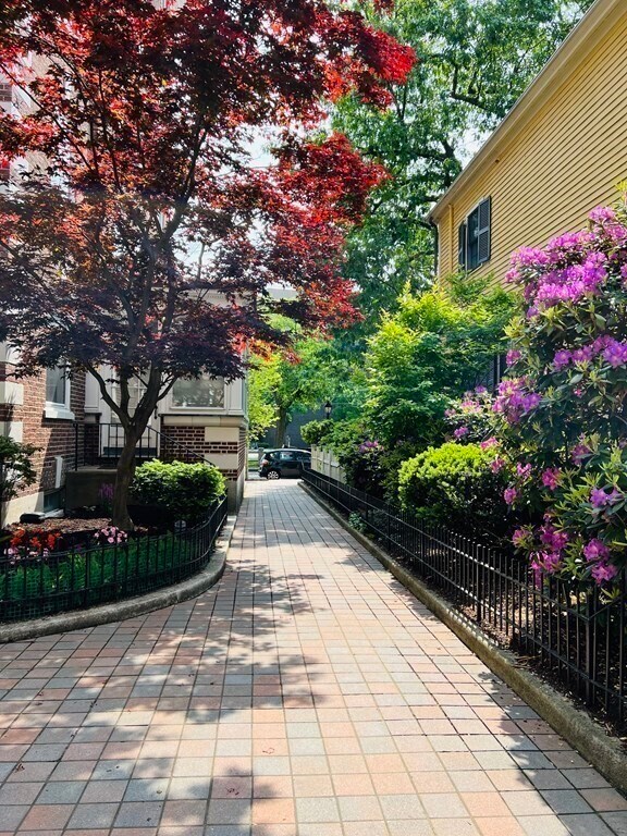 1572 Massachusetts Ave Unit 47, Cambridge, MA 02138 Condo for Rent in