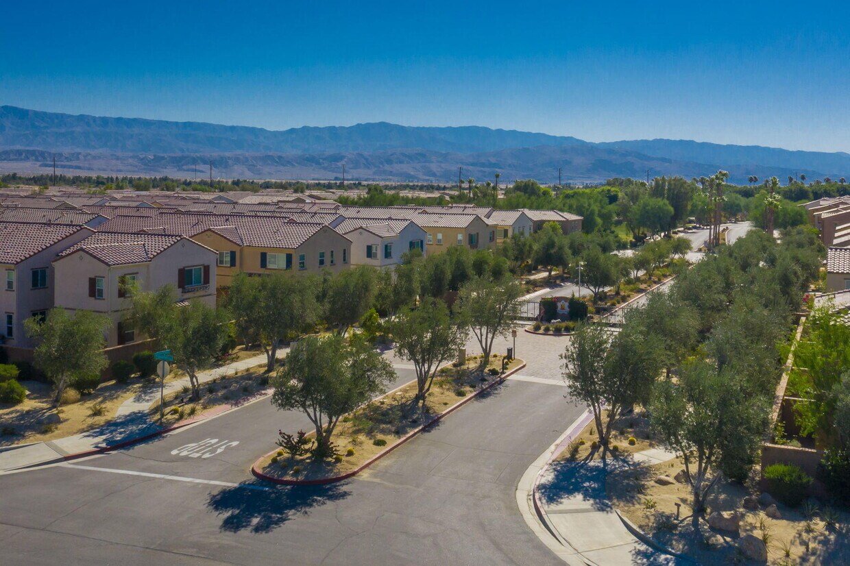 Primary Photo - 244 Paseo Bravo