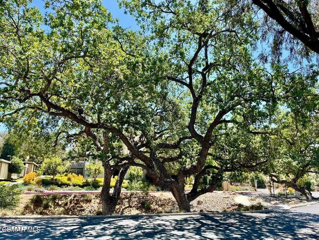 Foto del edificio - 460 Arbor Ln Ct