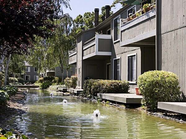 3 bedroom apartments santa clara