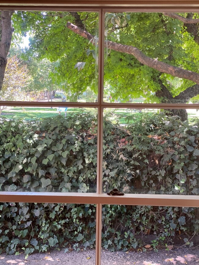 Looking out into beautiful backyard and Washington Park - 737 Lexington Way