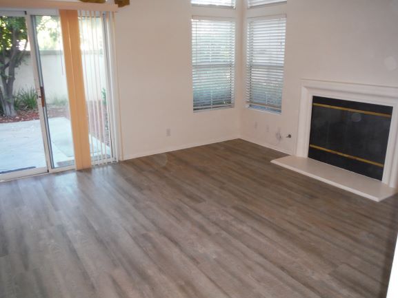 Living room - 10814 Duroy Ct