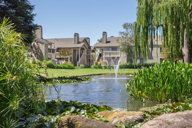Building Photo - Amador Lakes Apartments