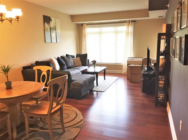 Living Room - 3251 Louisiana Ave S