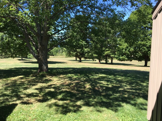 Open acres ! - 1049 Danby Rd