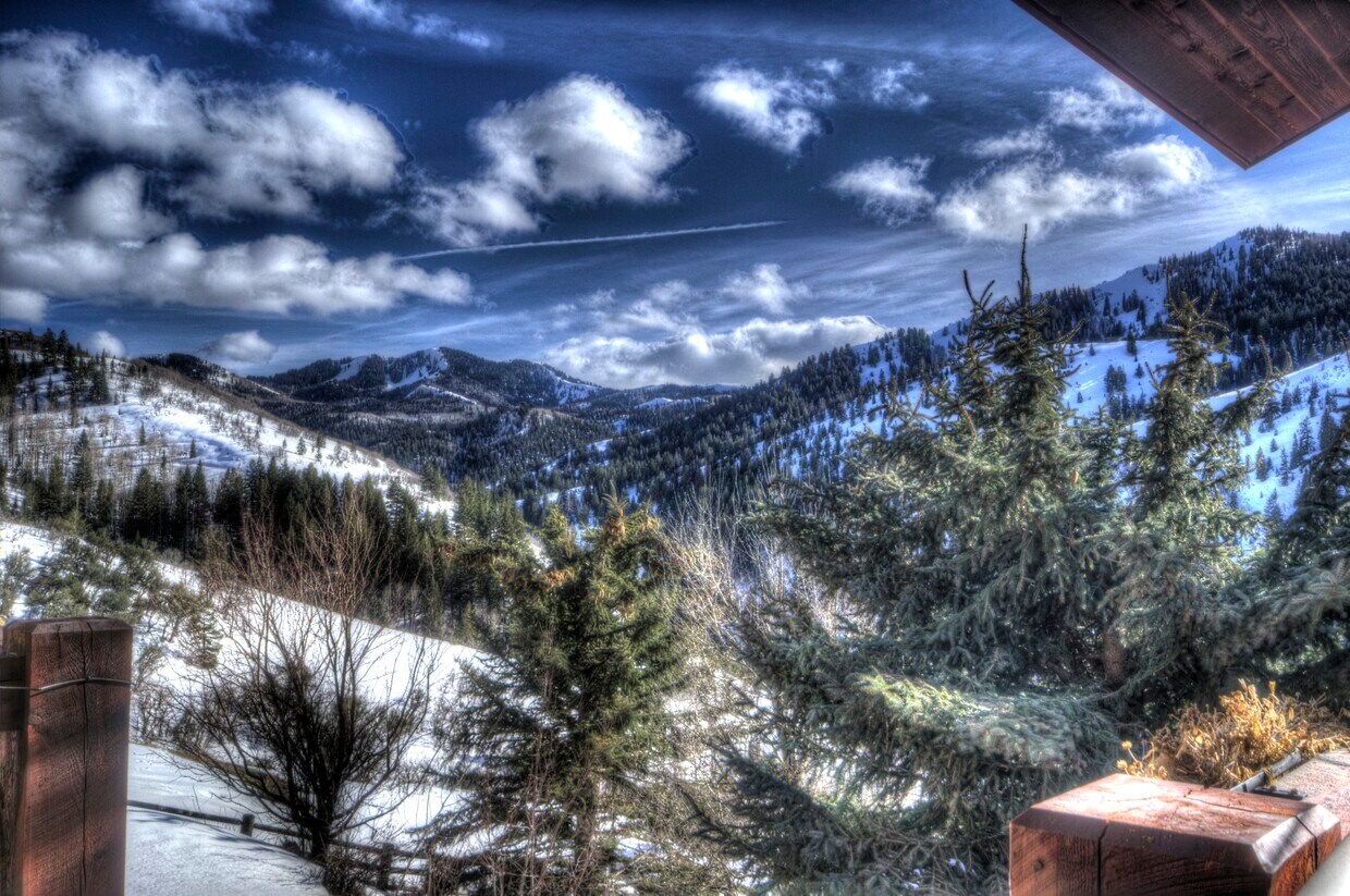Foto principal - 7339 Pine Ridge Dr