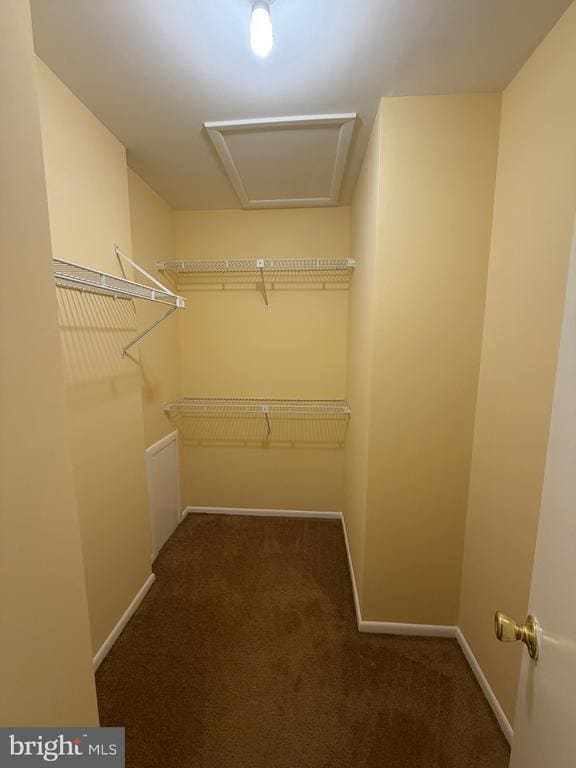 Building Photo - 4108 Peppertree Ln