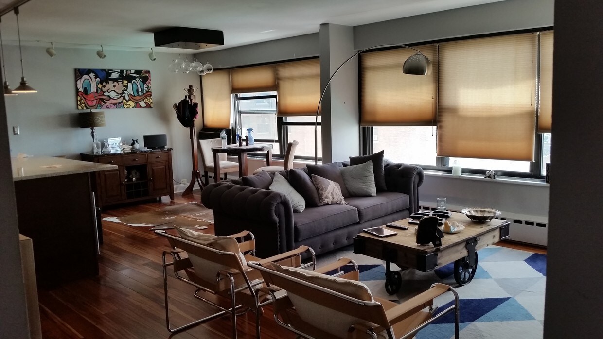 Sala de estar 1 - 3420 N Lake Shore Dr