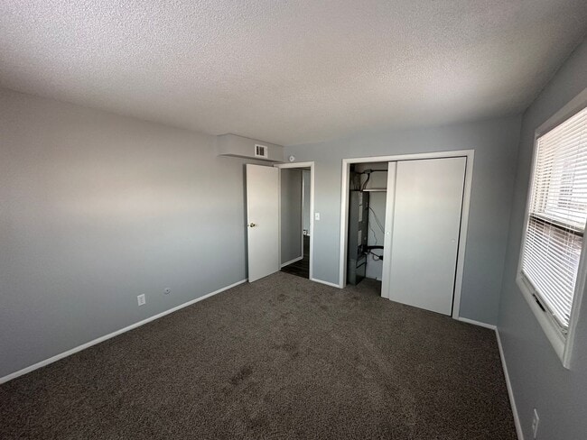 Building Photo - Updated 2 bed 1 bath apartment in the heart of Speedway
