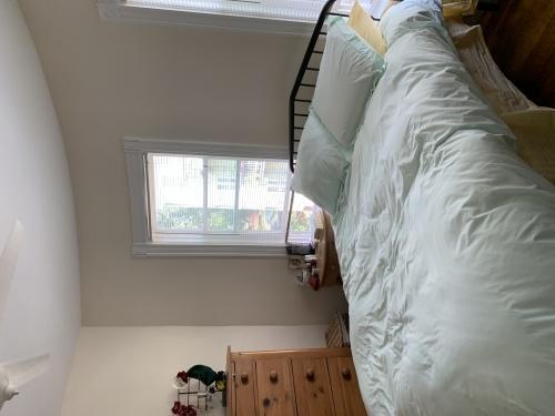 Building Photo - 4 bedroom in Somerville MA