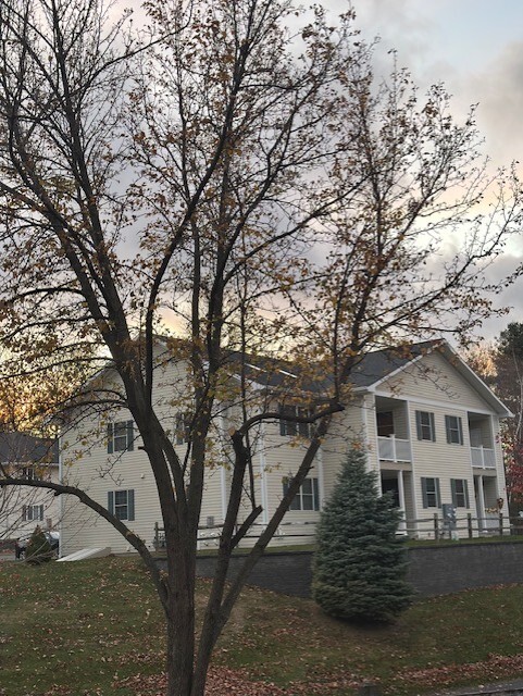 Building Photo - Oak Brook Commons