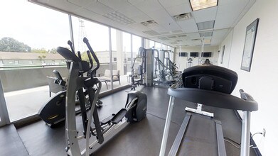 230 West Alabama Apartments photo'