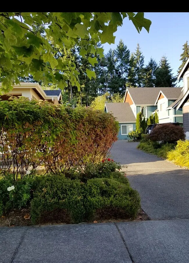 Foto del edificio - 4813 Bering St NW