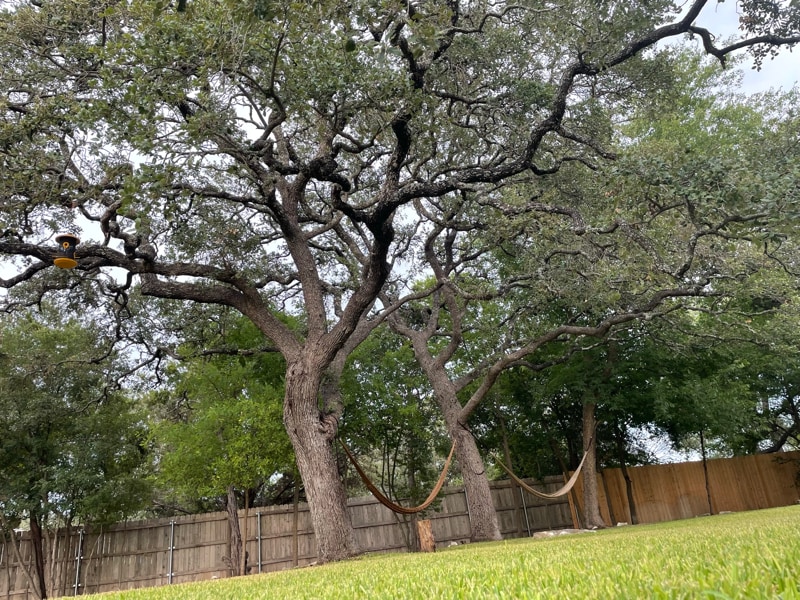 14406 Tucumcari Trail, Austin, TX 78734 House Rental in Austin, TX